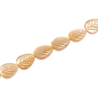 Shell MOP leaf   / 20mm