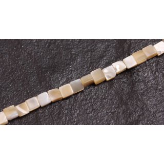 Shell troca  sqaure / 5x5mm