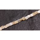 Shell troca  sqaure / 5x5mm