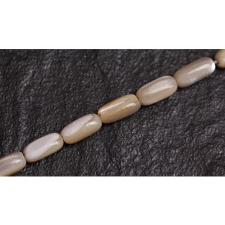 Muschel troca  oval   / 12x5mm