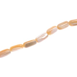 Muschel troca  oval   / 14x6mm