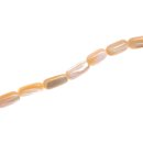 Shell troca  oval   / 14x6mm