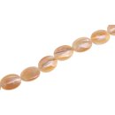 Muschel troca  flat oval  / 20x15mm