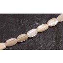 Shell troca  flat oval  / 15x8mm