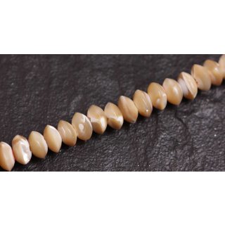 Shell troca  saucer / 10mm