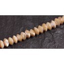 Shell troca  saucer / 10mm