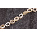 Shell troca  ring / 8mm