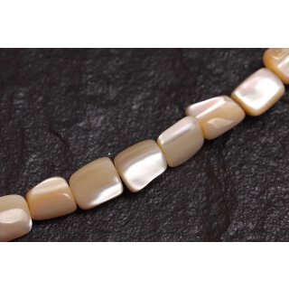 Muschel troca  irregular / 10mm