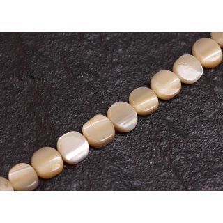 shell troca  flat round / 8mm