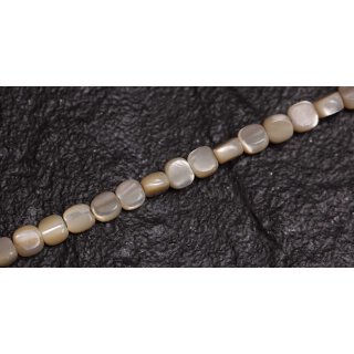 Muschel troca  flat round / 4mm