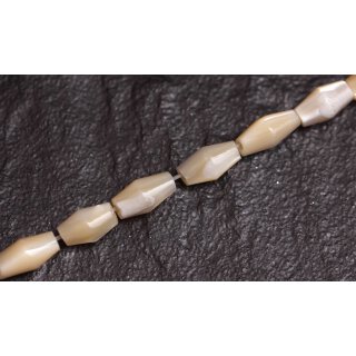 Muschel troca  double cone   / 9mm