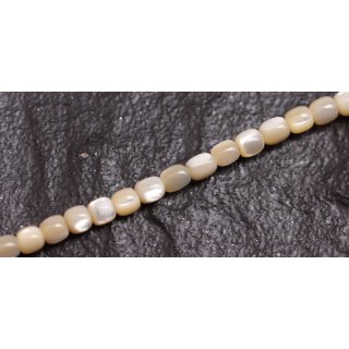 Shell troca  round beads   / 3mm