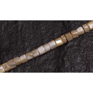 Muschel troca  puccalit / 4mm