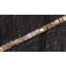 Shell troca  puccalit / 4mm