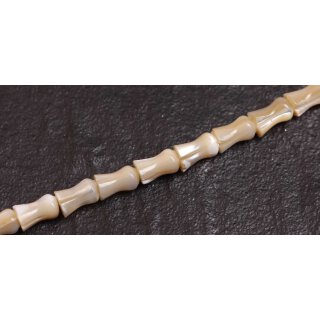 Muschel troca  flower / 10mm