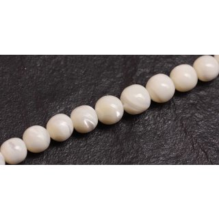 Shell troca  round beads graduated / 12mm