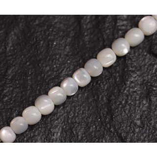 Muschel troca  round beads   / 3mm