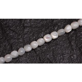 Muschel troca  round beads   / 5mm