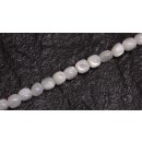 Shell troca  round beads   / 5mm