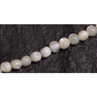 Muschel troca  round beads   / 6mm