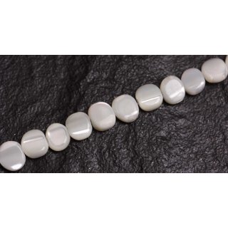 Muschel troca  flat round / 6mm