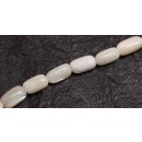 Shell troca  oval   / 13mm