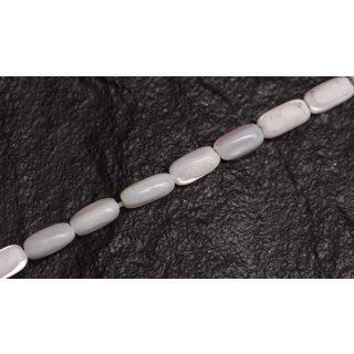 Shell troca  oval   / 8mm