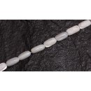 Shell troca  oval   / 8mm