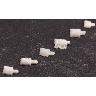 Muschel troca  turtle hand carving / 14mm