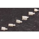 Shell troca  turtle hand carving / 14mm