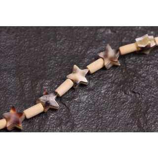 Shell cowrie star / 10mm