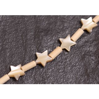 Muschel troca  star / 10mm