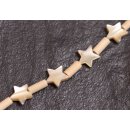 Shell troca  star / 10mm