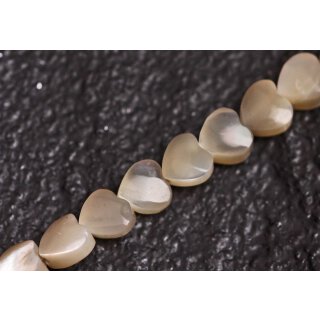 Shell troca  heart   / 5mm