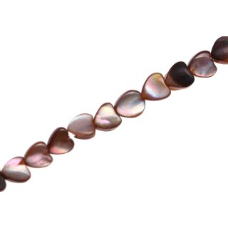 Shell brownlip heart   / 5mm