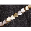 Muschel MOP heart   / 5mm