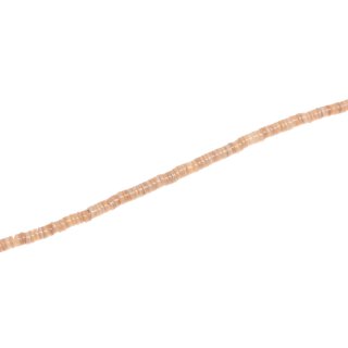 Muschel melo hieshe / 3mm