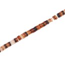 Shell brownlip hieshe / 3mm