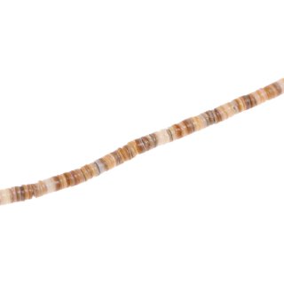 Muschel hammer hieshe / 5mm