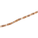 Shell hammer hieshe / 5mm