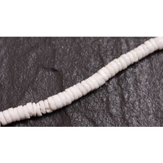 Muschel clam hieshe / 6mm