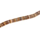 Muschel MOP hieshe / 10mm