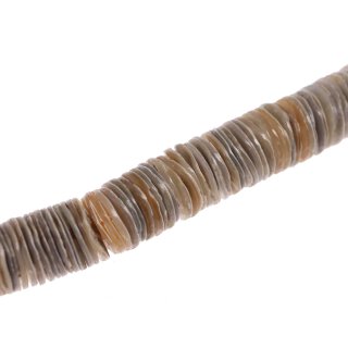 Shell green  hieshe / 15mm