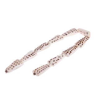 Muschel cowrie teardrop tiger / 45x16mm