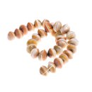 Muschel cats-eye half cut / 18x8mm