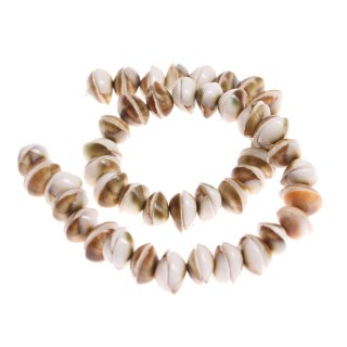 Muschel cats eye half cut / 14x6mm