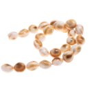 Shell cats eye acob / 15x15mm