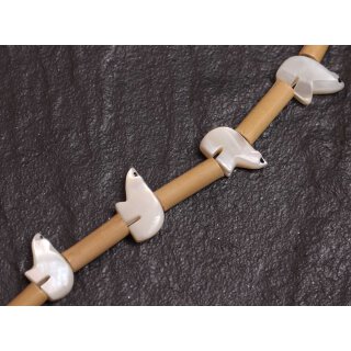 Muschel troca  fetish bear / 10x13mm