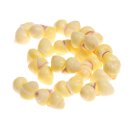 Muschel snail whole / 20mm *