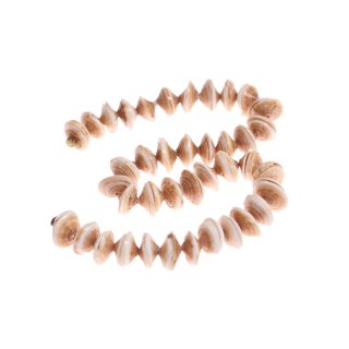 Shell conus half cut / 15mm